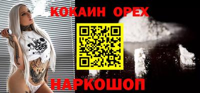 шишки Заводоуковск