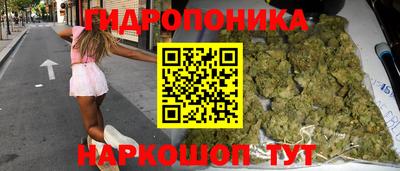 шишки Заводоуковск