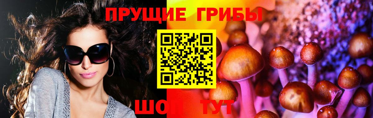 Псилоцибиновые грибы мицелий Курчалой