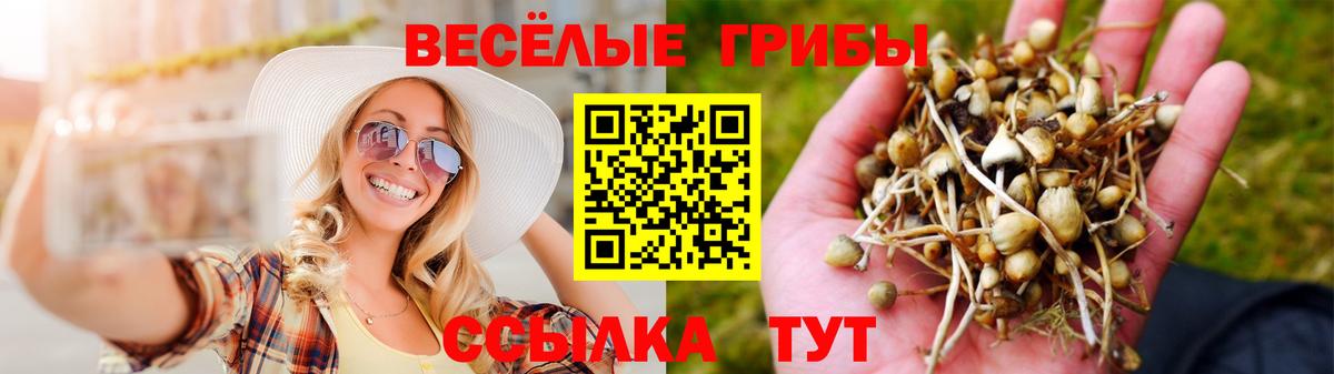 Псилоцибиновые грибы Psilocybine cubensis  Галлюциногенные грибы ЛСД  Курчалой  Вход с VPN 